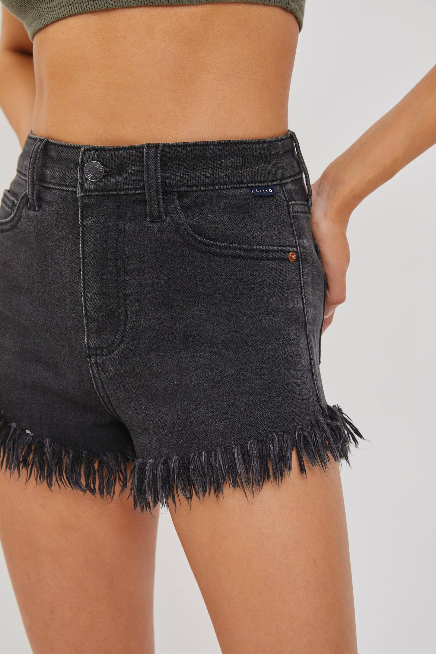 Black High Rise Fray Shorts