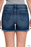 THE HOMETOWN HONEY SHORTS